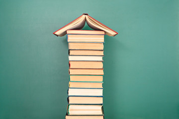 中国最大最正规的肉狗养殖基地是哪个