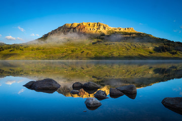 医疗机构应定期开展手卫生的全员培训医务人员应掌握什么和正确的手卫生方法