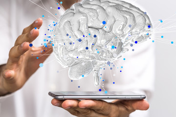 中国最大最正规的肉狗养殖基地是哪个