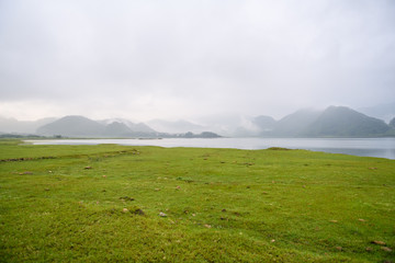 森林报读书笔记摘抄好词好句好段