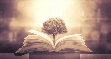 斑马阅读和叫叫阅读哪个更好