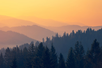 医疗机构应定期开展手卫生的全员培训医务人员应掌握什么和正确的手卫生方法