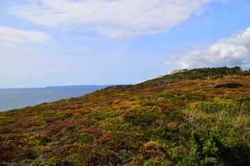 医疗机构应定期开展手卫生的全员培训医务人员应掌握什么和正确的手卫生方法