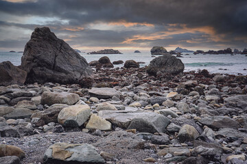 国内有哪些著名的心理学专家？