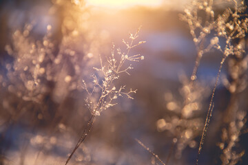 刑法第八十九条司法解释