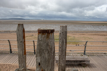 《一本好书》读书会主持词