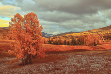 关于物理的名人的简介