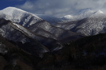 中国最大最正规的肉狗养殖基地是哪个