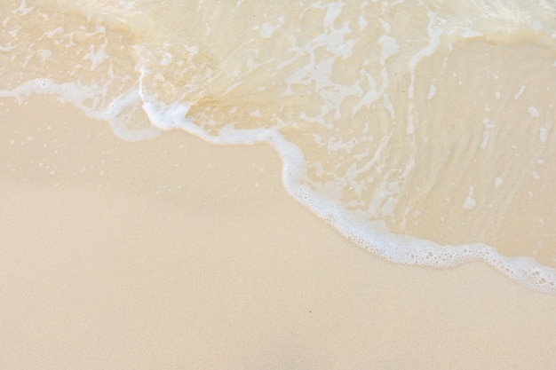 健康大讲堂主持人主持词大全