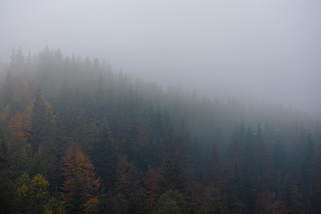 不向命运低头的名人事例
