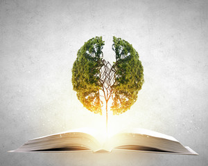 红豆象征相思的典故是什么？