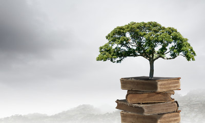 红豆象征相思的典故是什么？