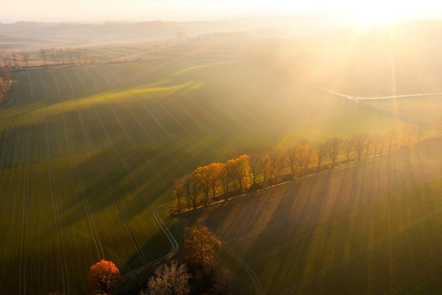 不向命运低头的名人事例
