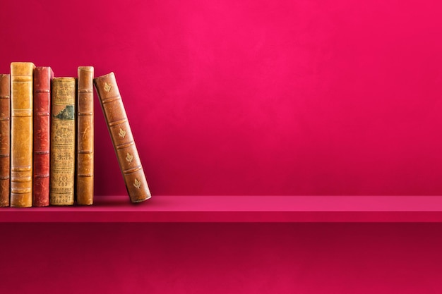 森林报读书笔记摘抄好词好句好段