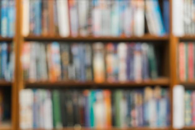 罗宾范佩西的资料！