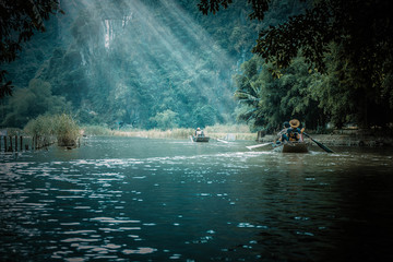 森林报读书笔记摘抄好词好句好段