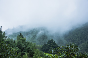 中国最大最正规的肉狗养殖基地是哪个